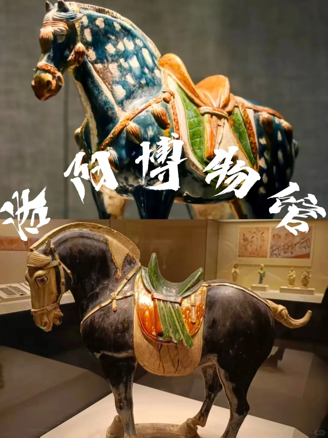 洛阳必去9大景点❗❗❗洛阳旅游前必看❗