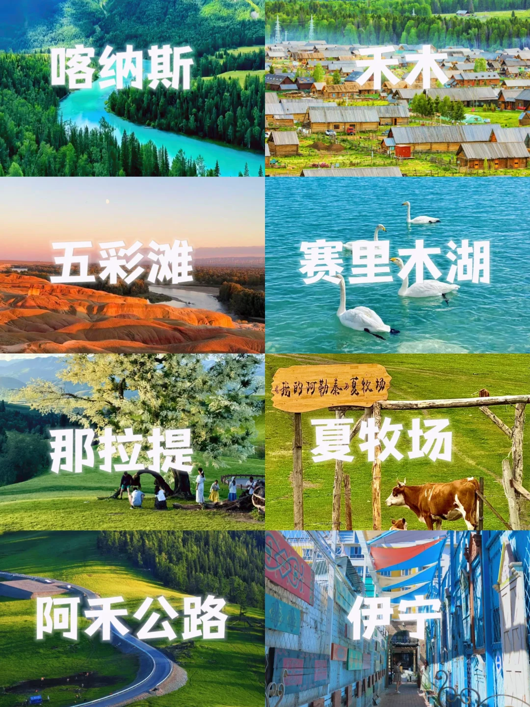 6-8月新疆必游景点 | 梦中的自由地