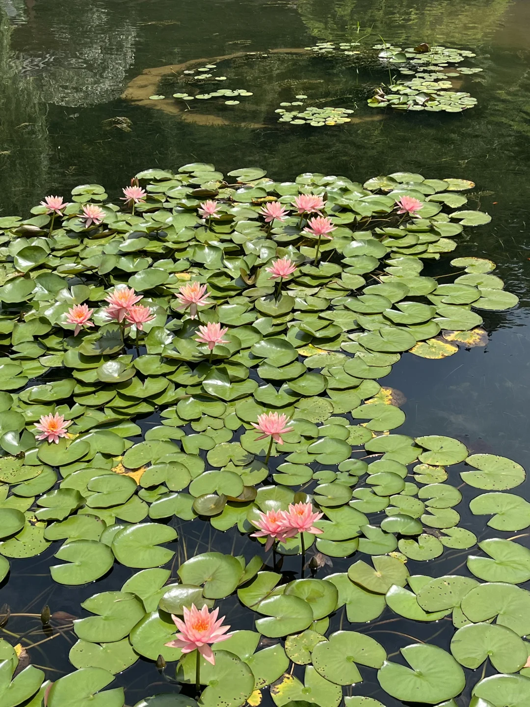 团建 特种兵旅游 武汉～