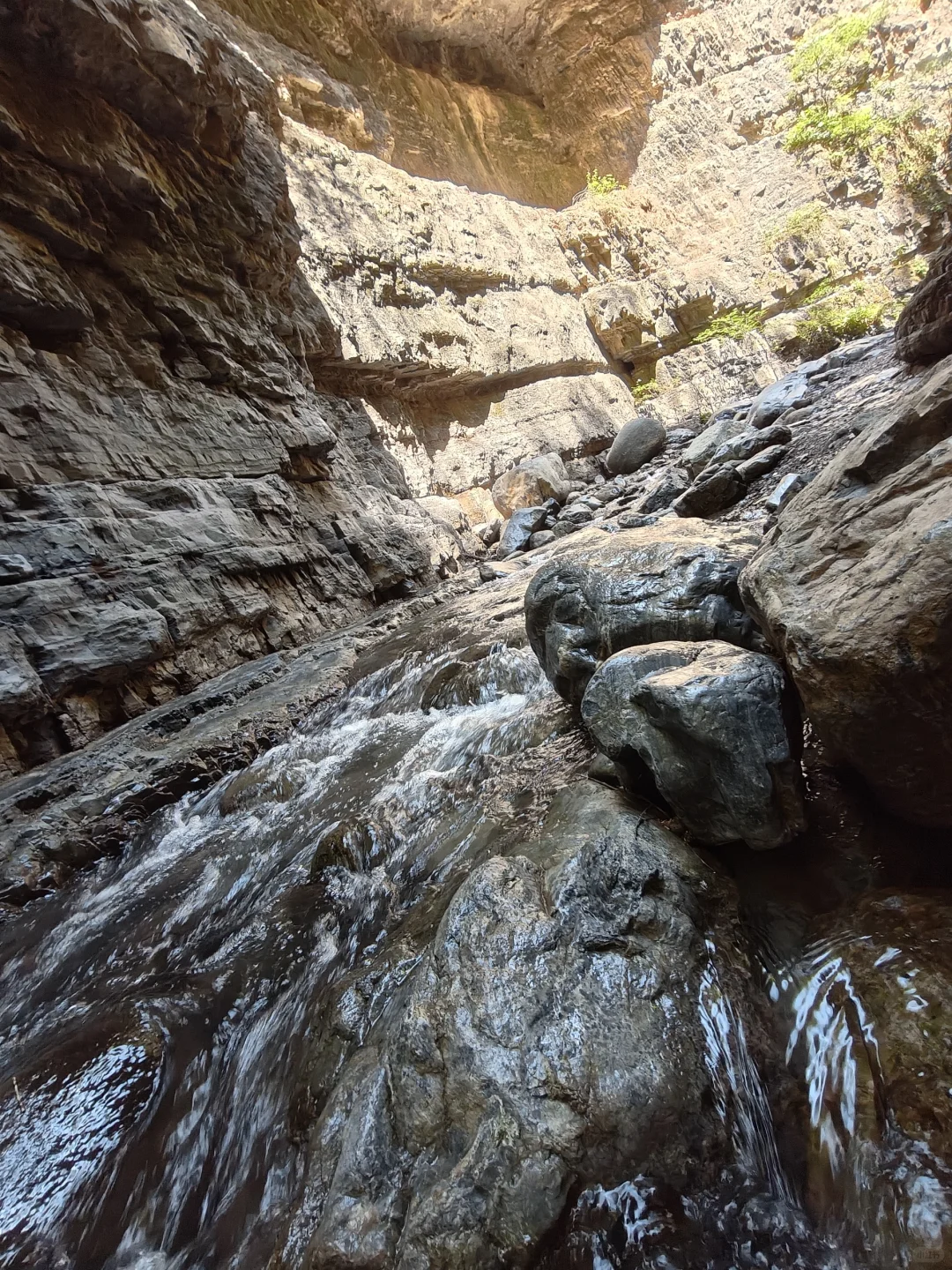 北京小众景点,每年仅开4个月