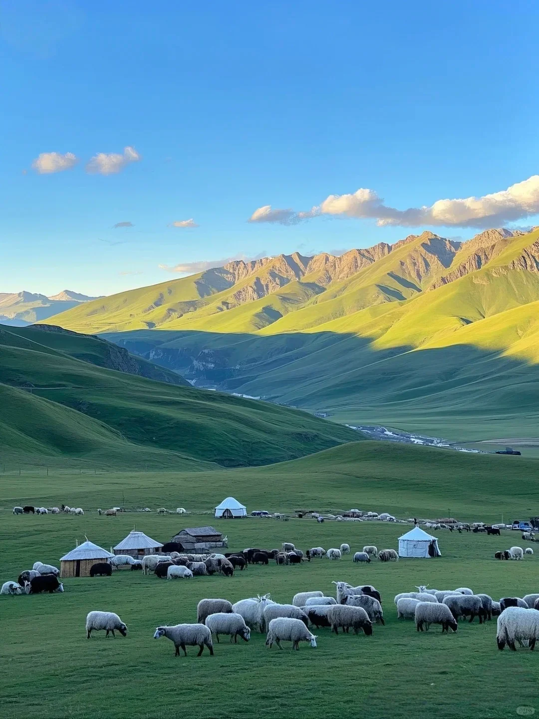 端午反向旅行甘南！推荐个被低估的冷门城市