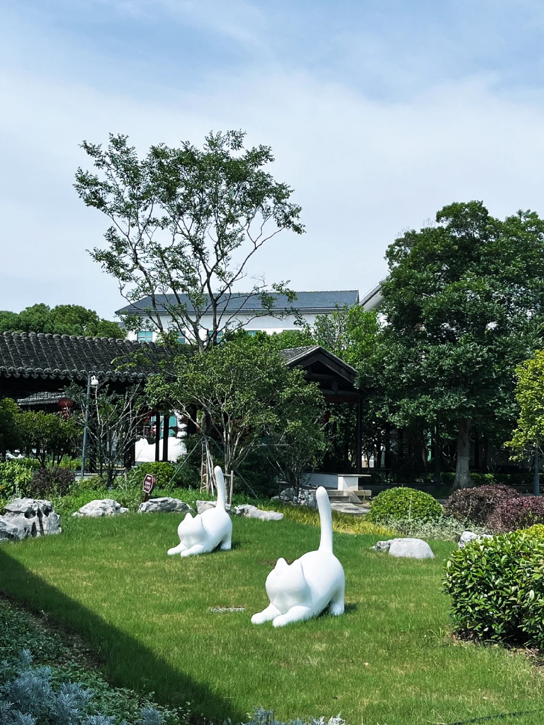 暑假来苏州想避开人群，来这个古镇就对啦～