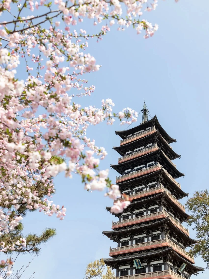 超美的江南水乡！🌸烟花三月下扬州