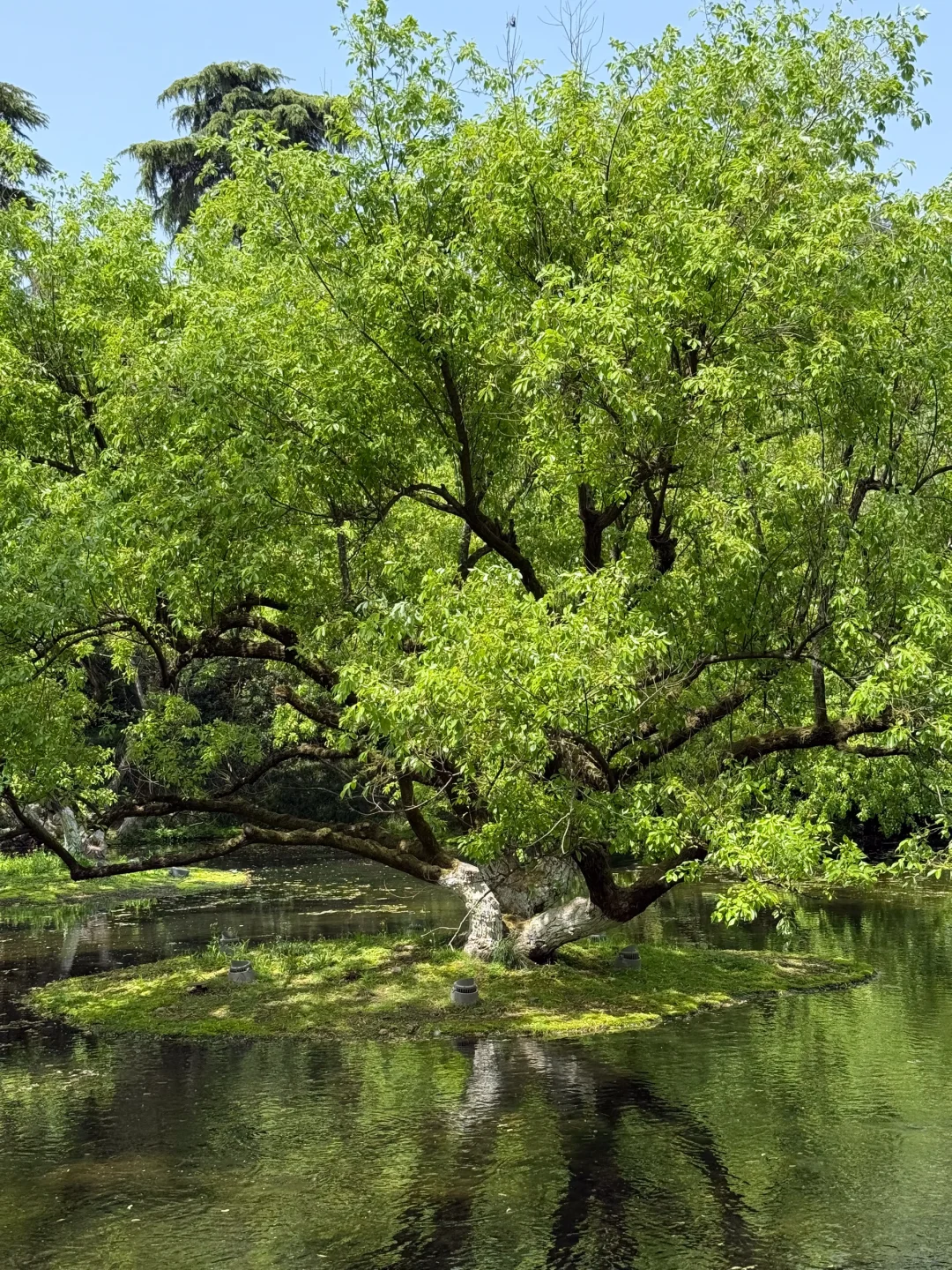 杭州现状，6月去的姐妹尽早改行程