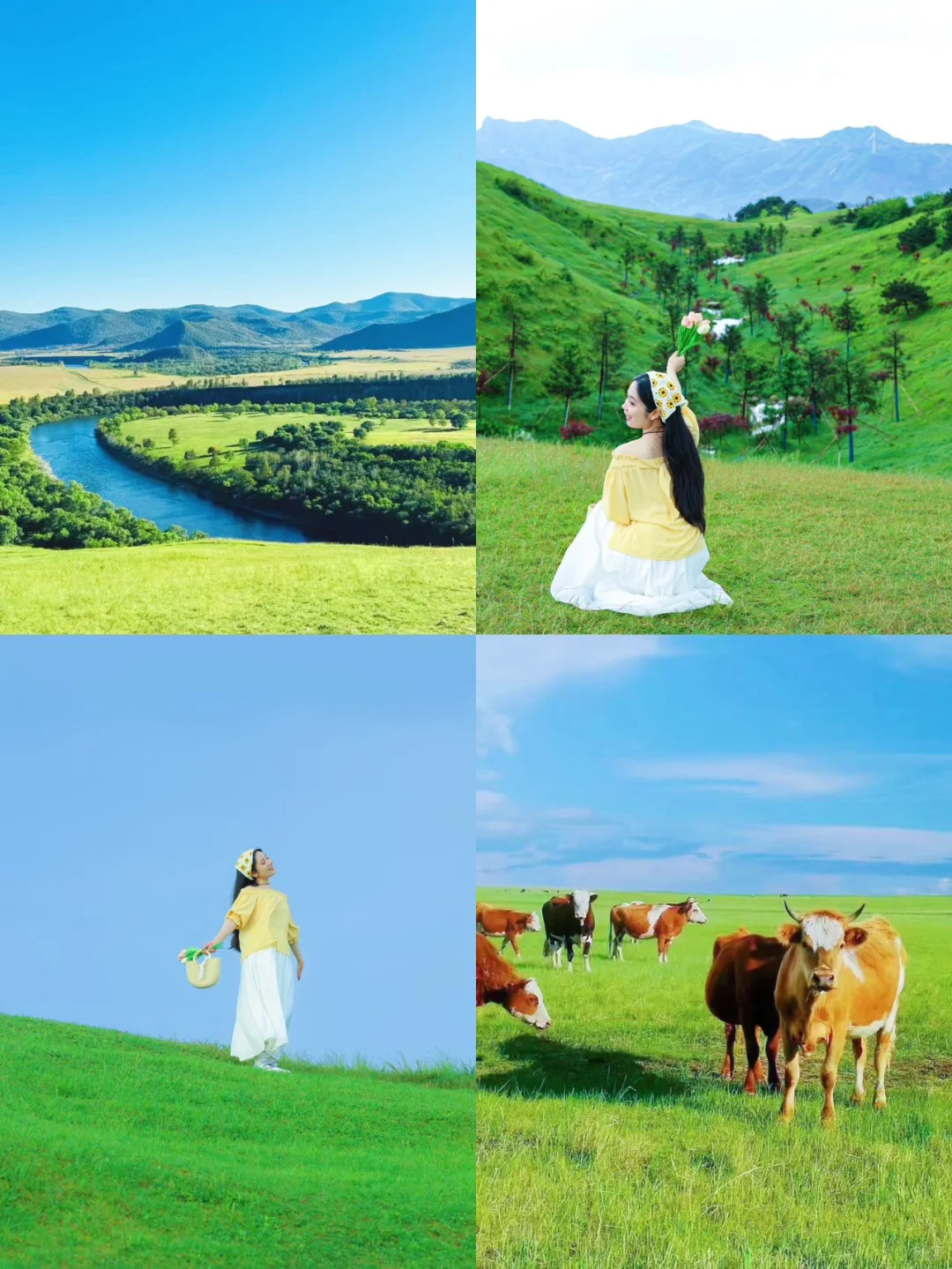 人生建议！一定要在夏天来一次呼伦贝尔，美哭