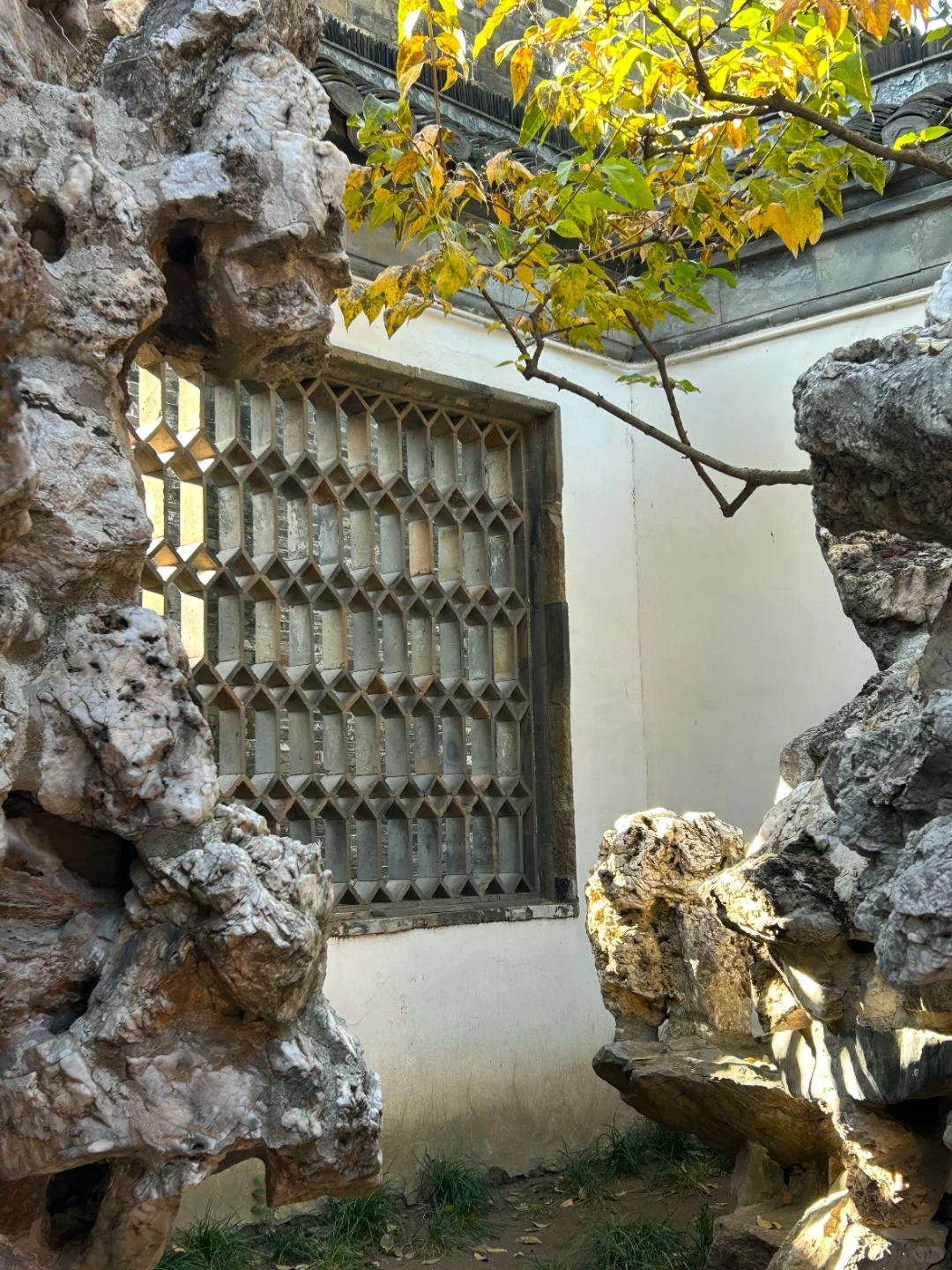 超美的江南水乡！🌸烟花三月下扬州