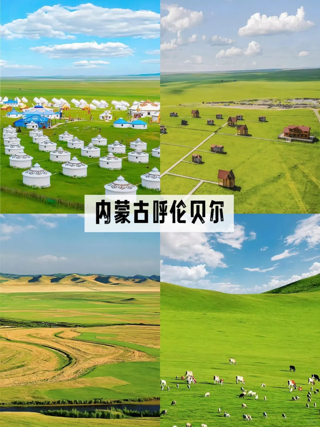 7️⃣月避暑天花板！国内9️⃣个20℃神仙地