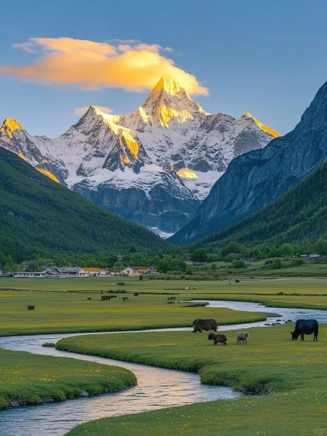 连夜删西藏！稻城亚丁才是王炸！