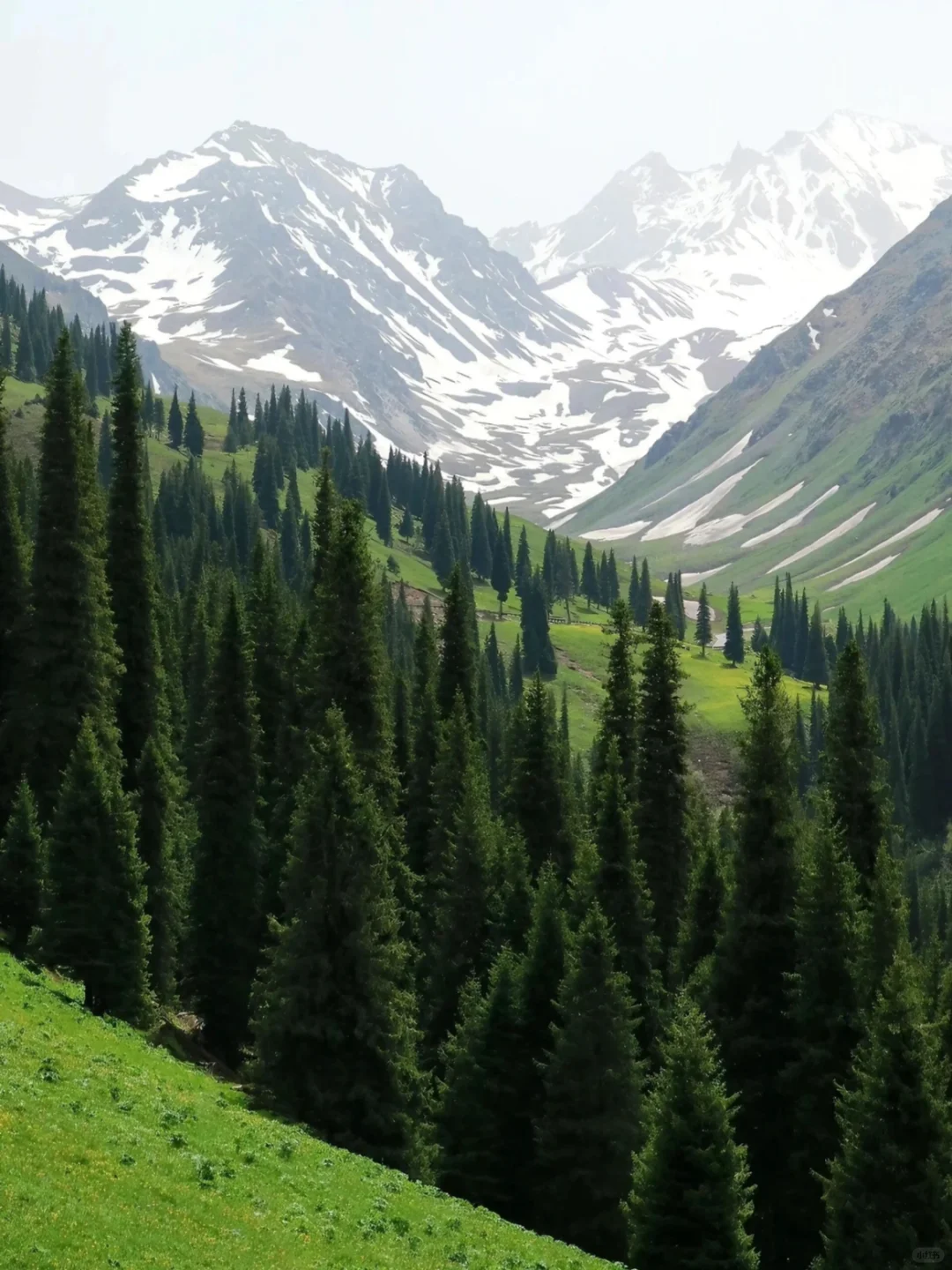 端午节乌兰布统草原可冲，附相关提醒