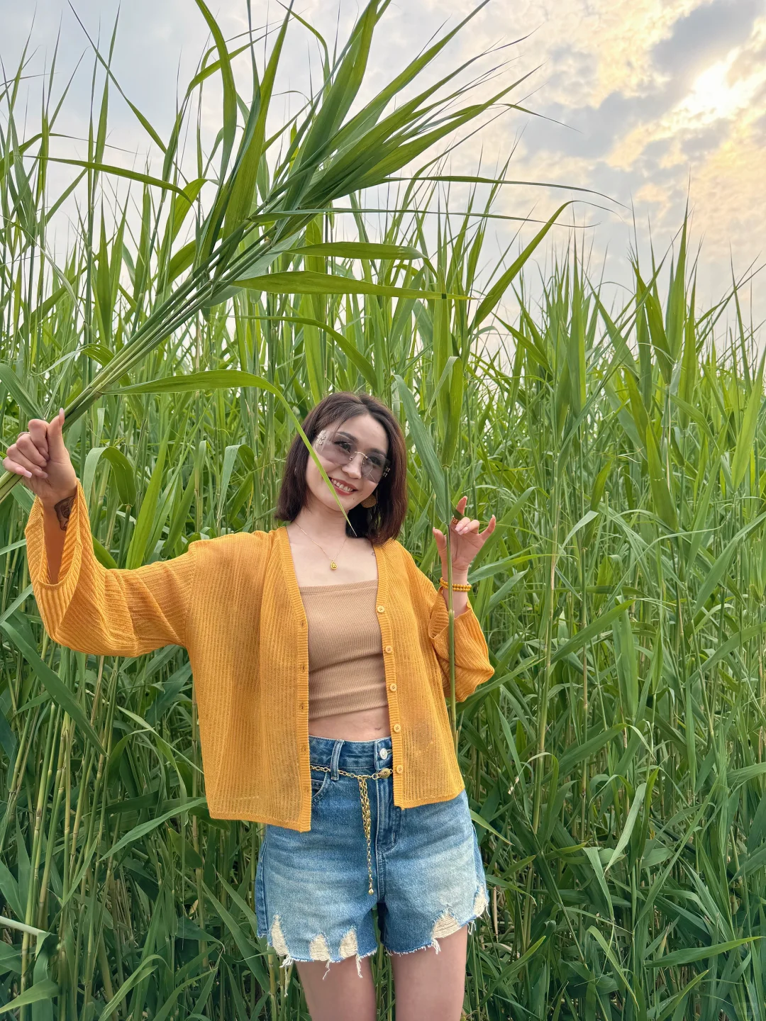 哇塞白洋淀野淀游 ～盛夏傍晚遇见人间晚霞～