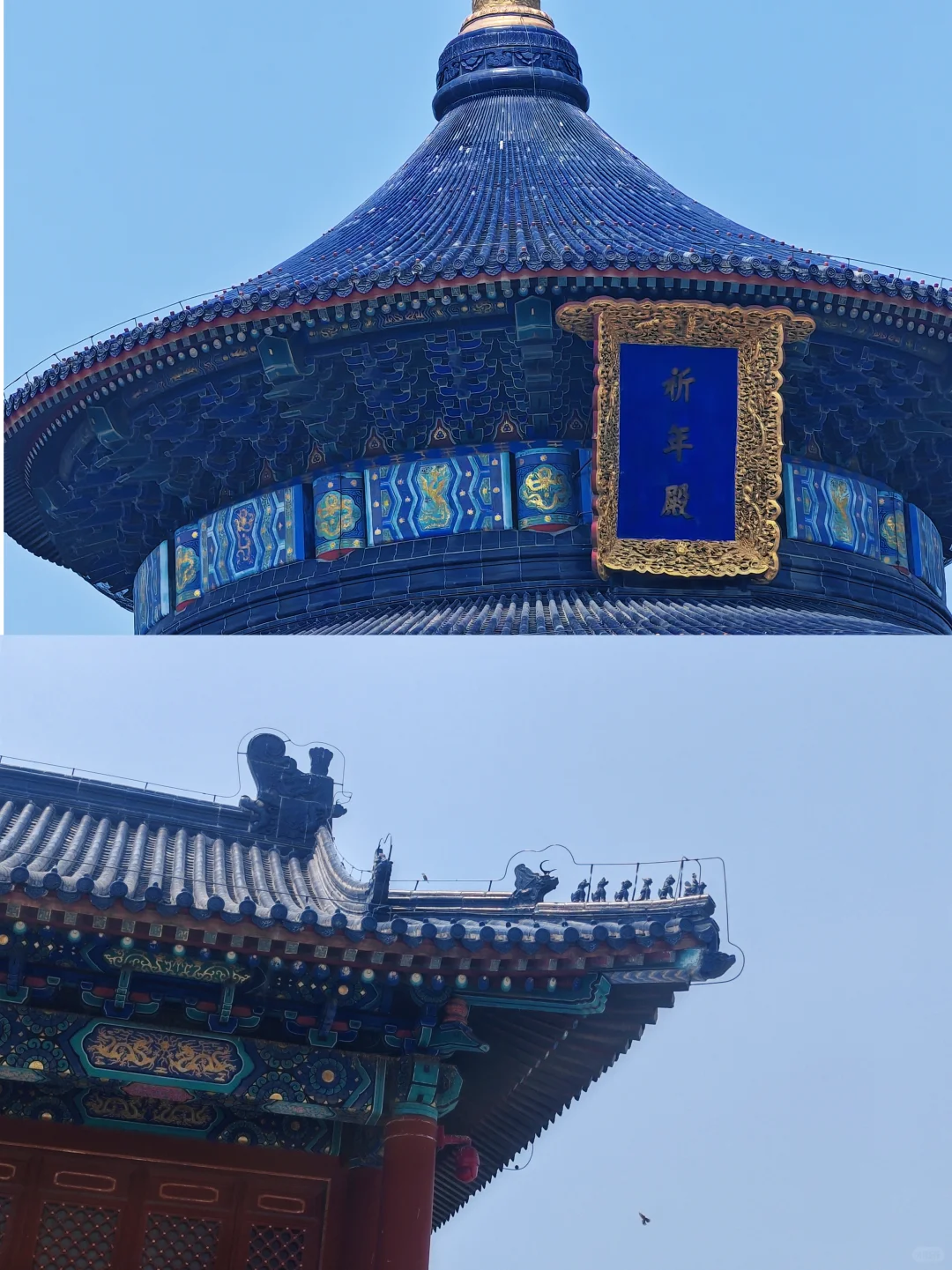 说走就走的特种兵之旅🏃