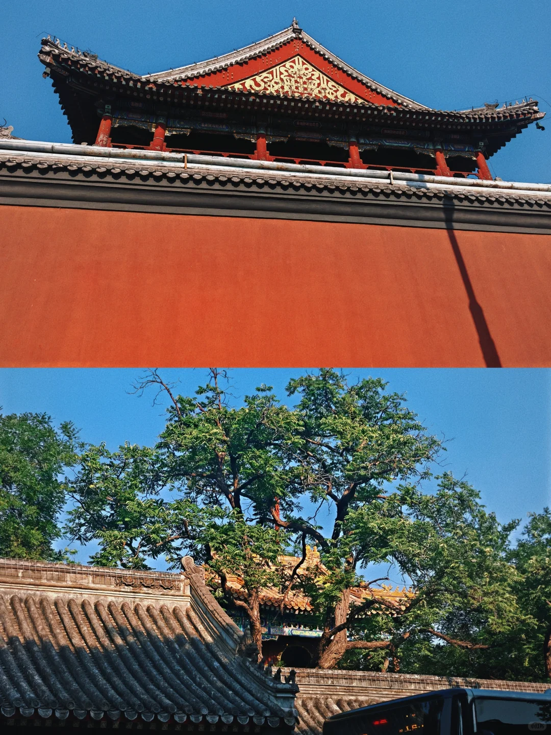 说走就走的特种兵之旅🏃