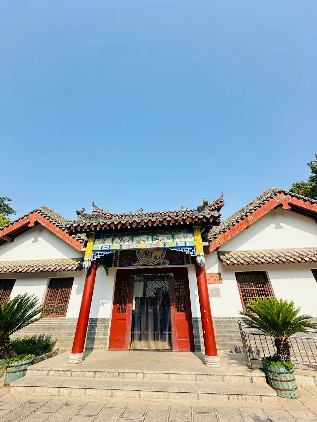 邯郸有点东西❗公园大树开瀑布