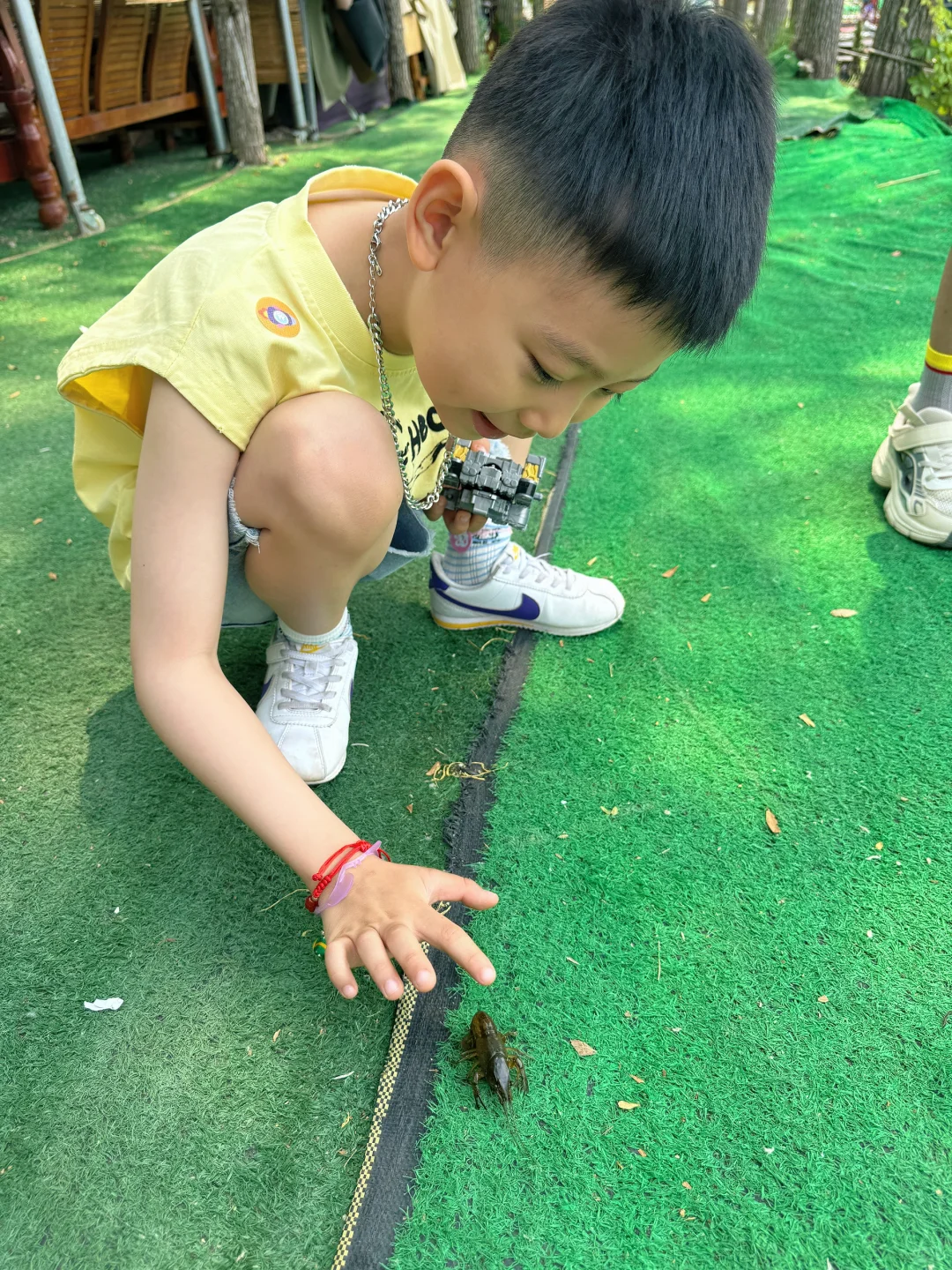 哇塞白洋淀野淀游 ～盛夏傍晚遇见人间晚霞～