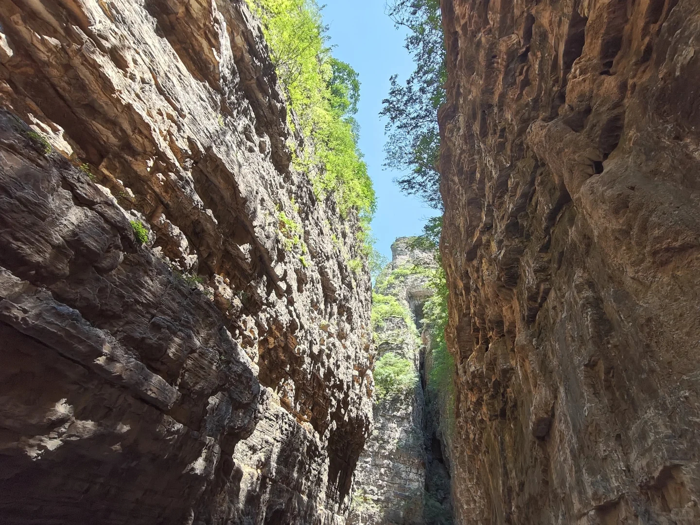 北京小众景点,每年仅开4个月