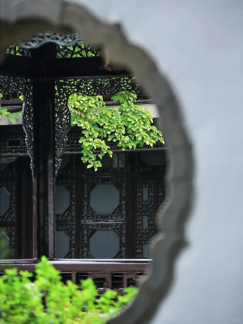 超美的江南水乡！🌸烟花三月下扬州