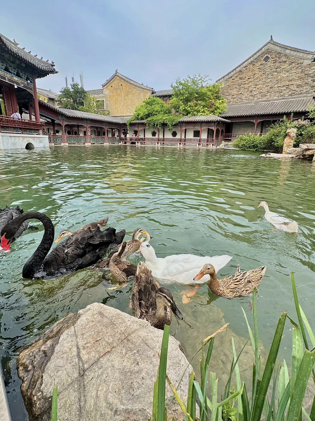 以为苏州够美了，直到我来到“北方水乡”……