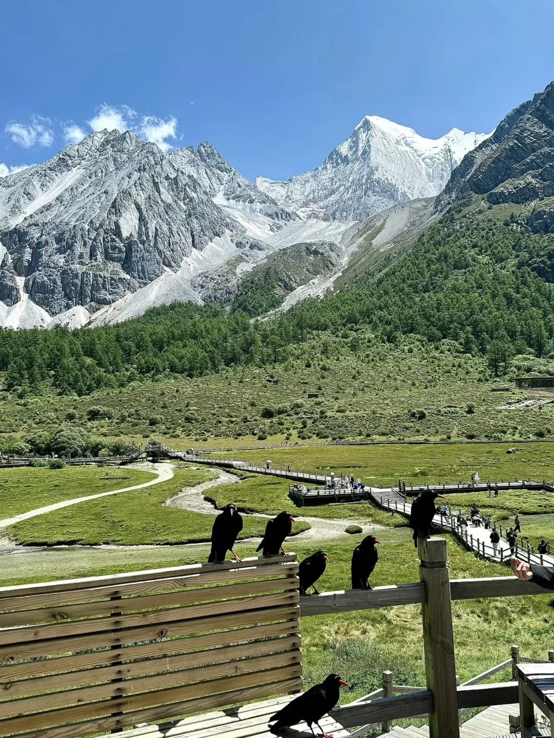 📍5.28稻城亚丁已累瘫😪个人经验➕景区实况