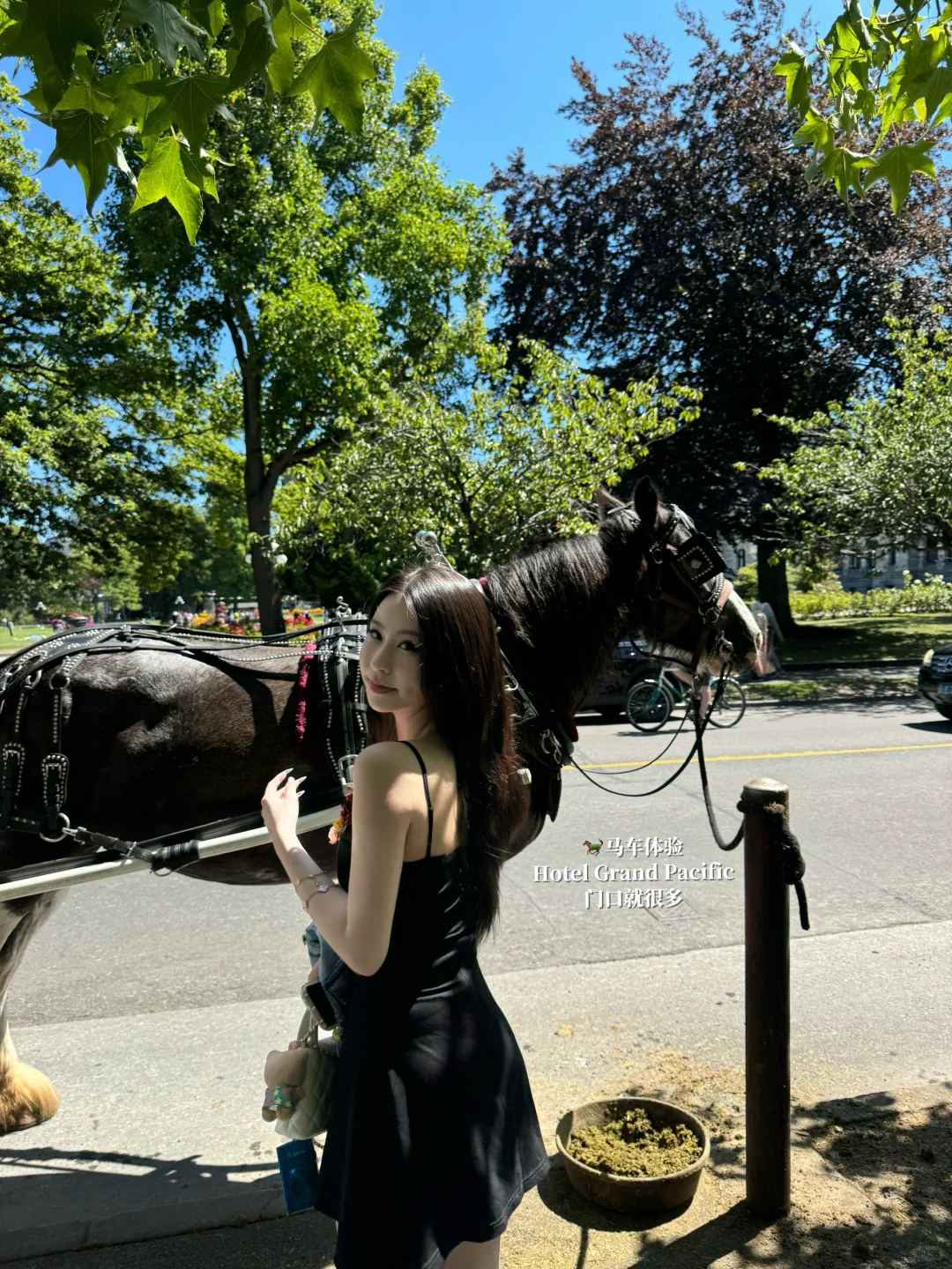 温哥华周边游｜🌸维多利亚岛景点美食指南
