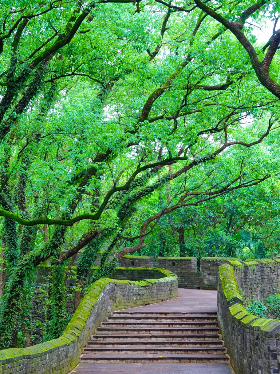 不愧是被《国家地理》评为国内最美古城啊