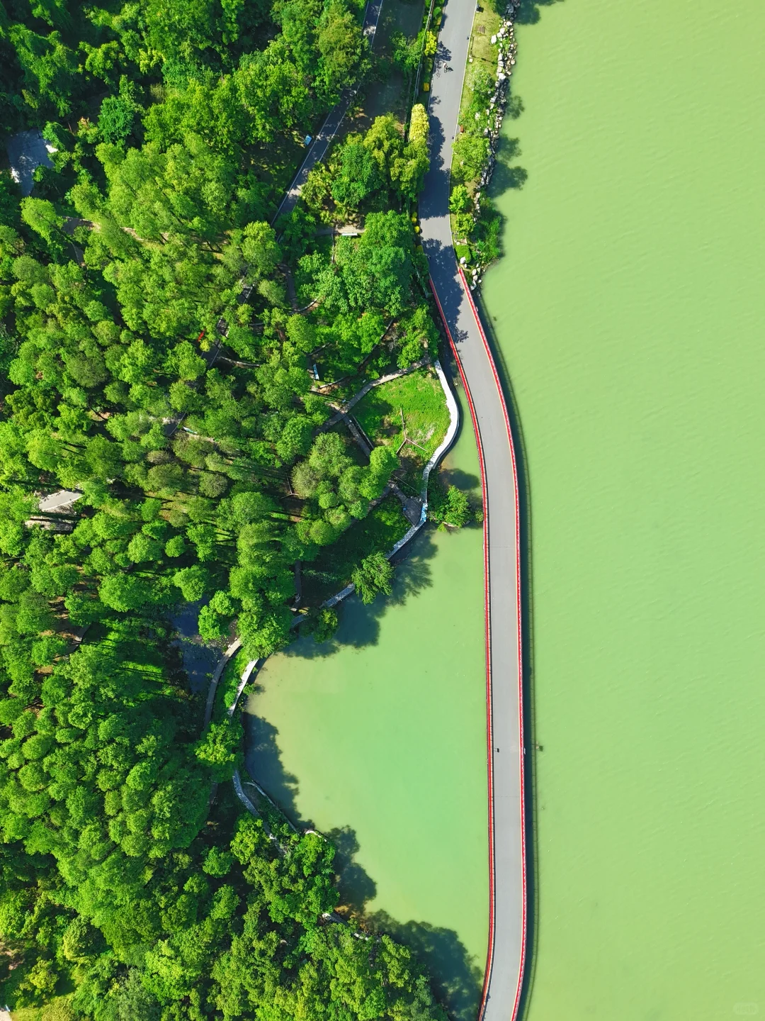 人生建议:去完这❶❷个地方再离开武汉!!