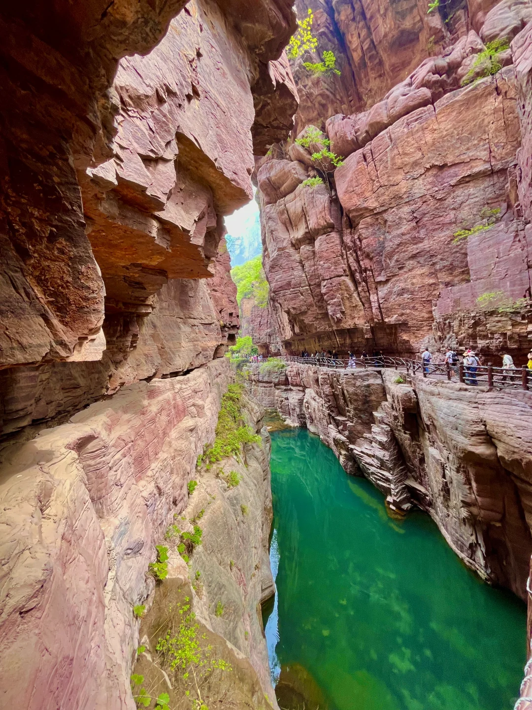 童话里的绿野仙踪丨云台山最全攻略🌲🌞
