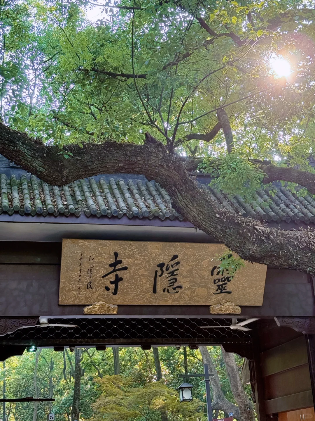 杭州现状，6月去的姐妹尽早改行程