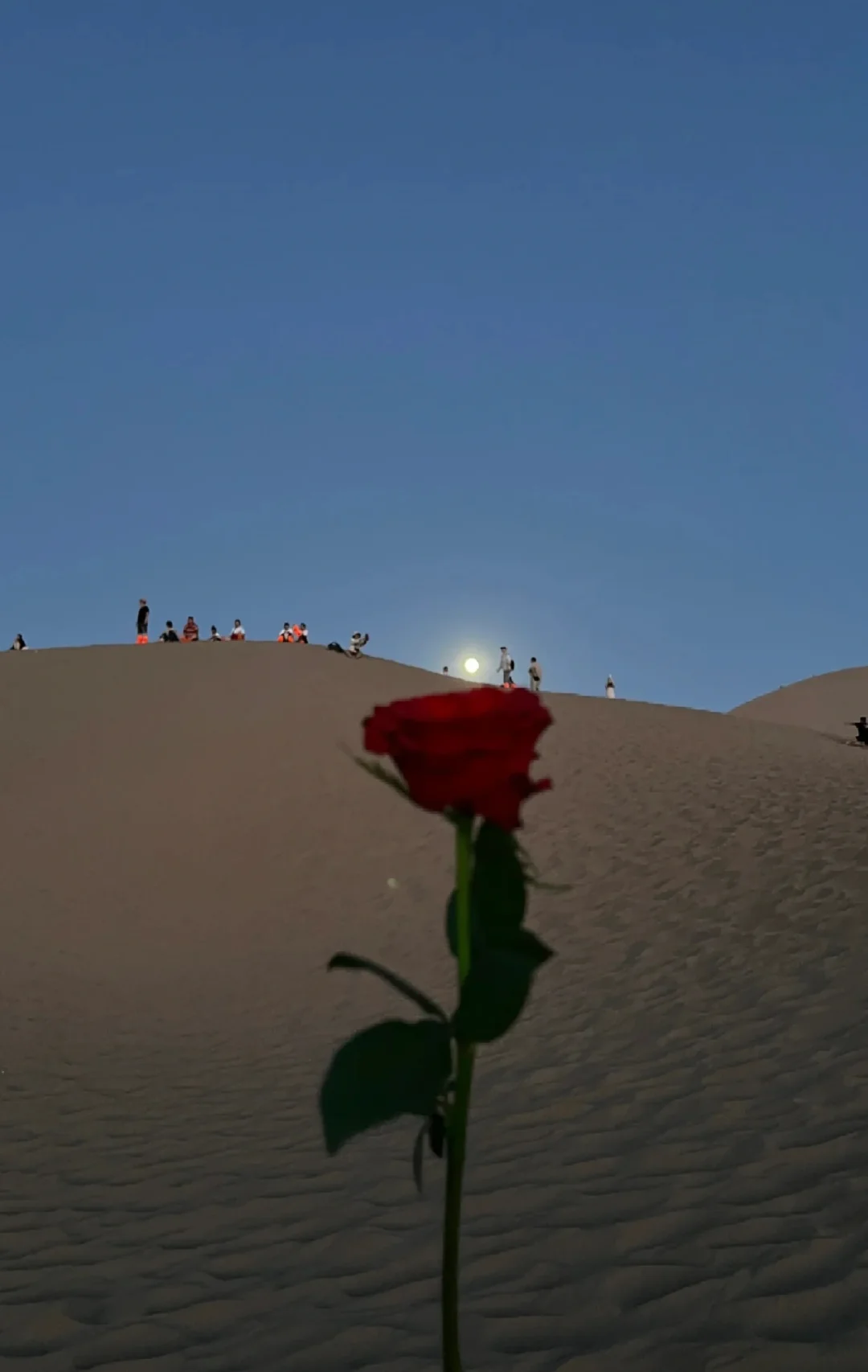 敦煌旅游|一生必去一次的文化盛宴