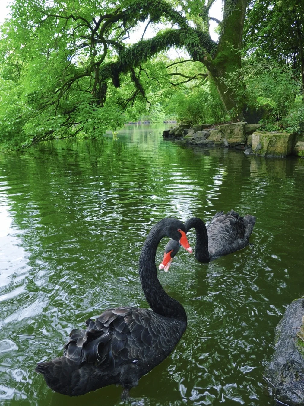 不愧是被《国家地理》评为国内最美古城啊