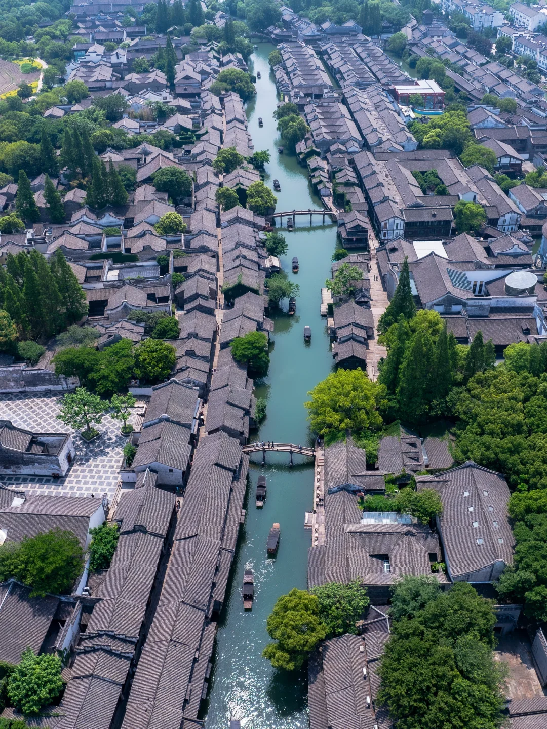 迄今为止,乌镇最惬意的旅游方式出现了🍀