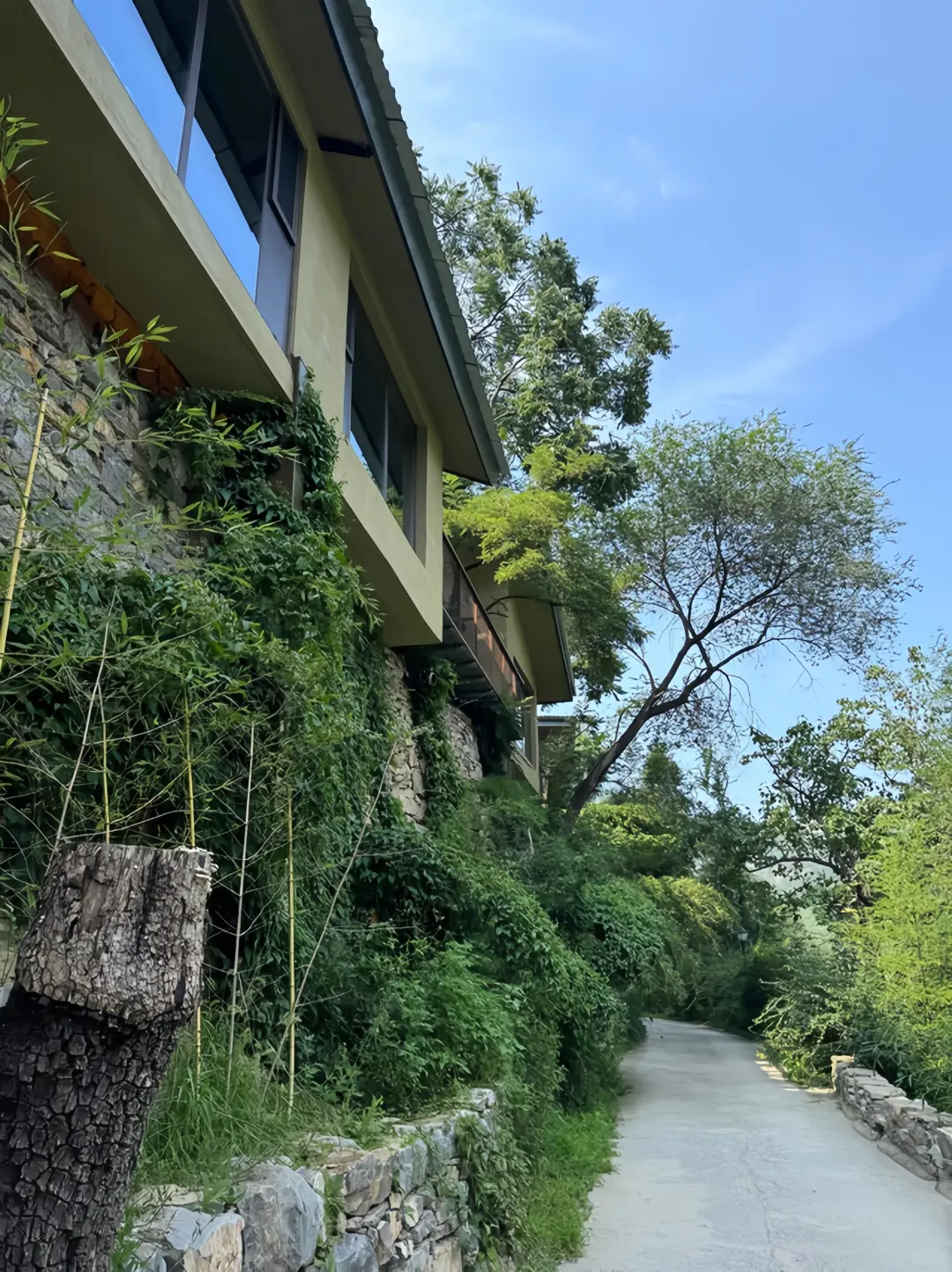 山东📍淄博！齐长城下的山景小院！好chill