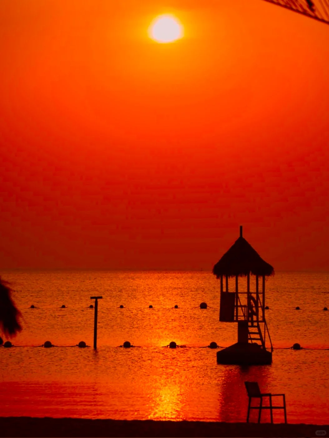 不在三亚‼️在江苏！海上荡秋千美哭😭