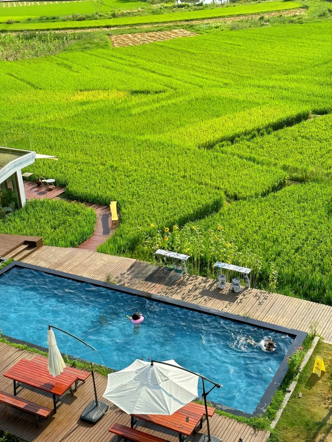 人生建议：带孩子来贵州，一定要暑假去！