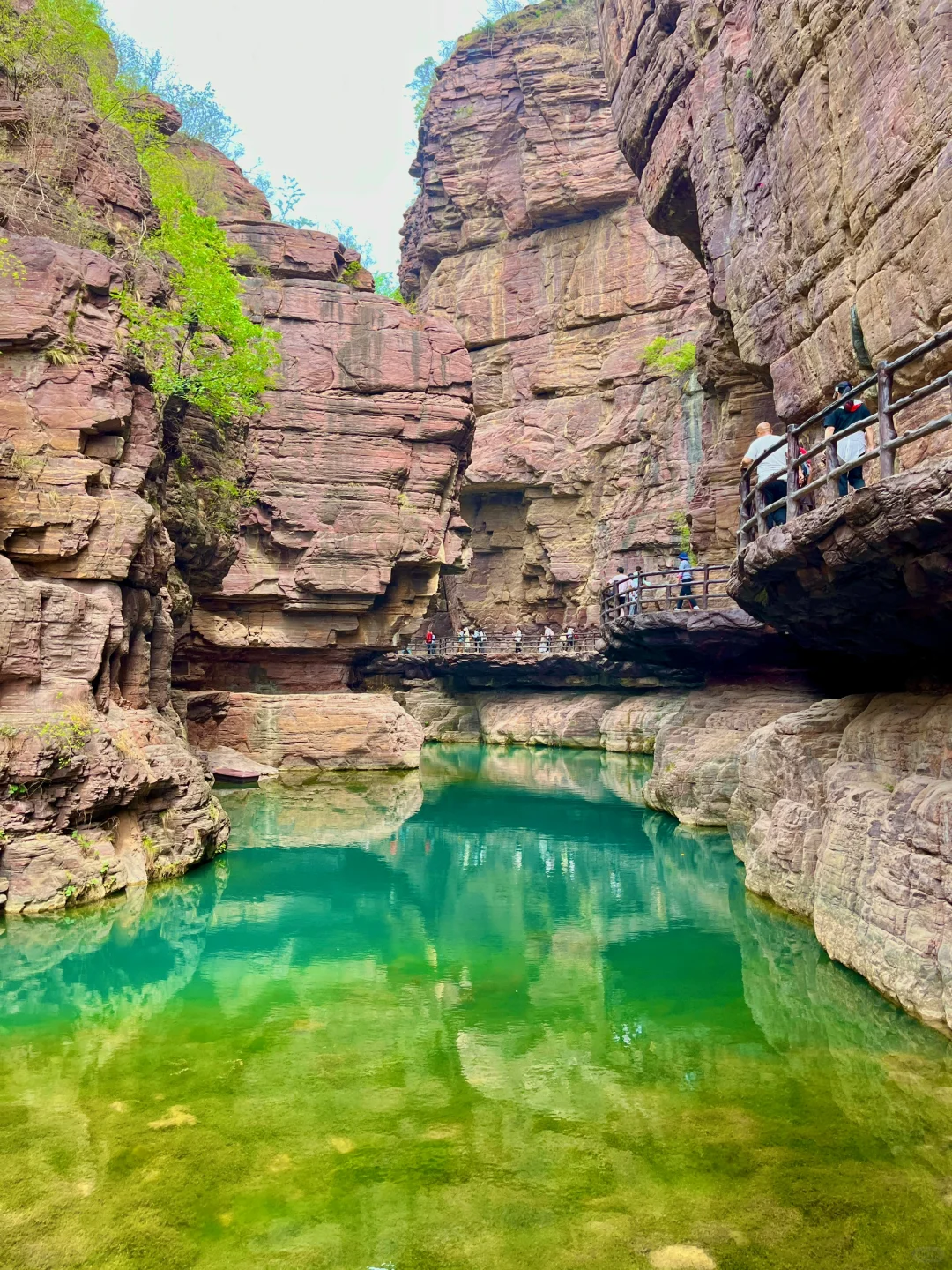 童话里的绿野仙踪丨云台山最全攻略🌲🌞