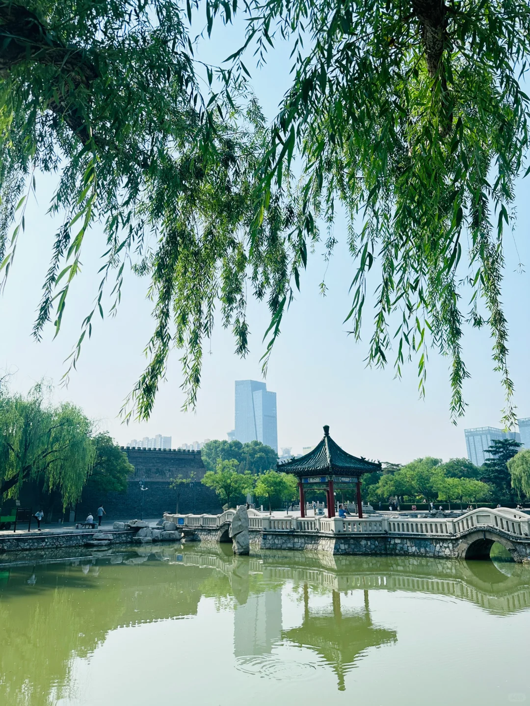 邯郸有点东西❗公园大树开瀑布