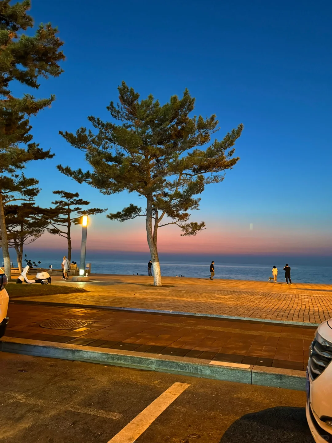 傍晚的威海！！就是一个巨大的lalaland。。。