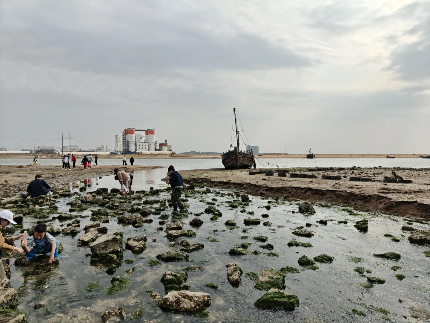 五一带🐶玩海莱州我太爱了（景点美食篇）