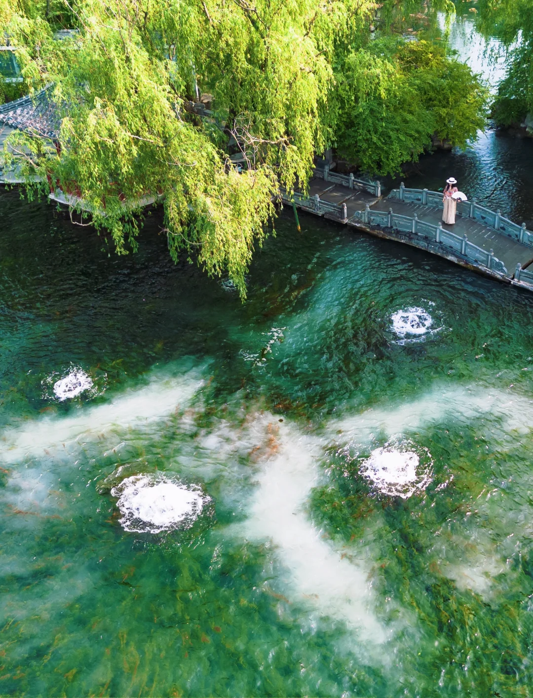 李清照没骗我❗️北方人有自己的江南水乡🍃