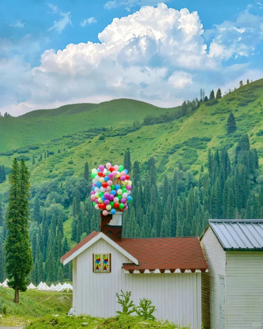 和男友新疆伊犁玩了8天，消费观崩塌了🙀