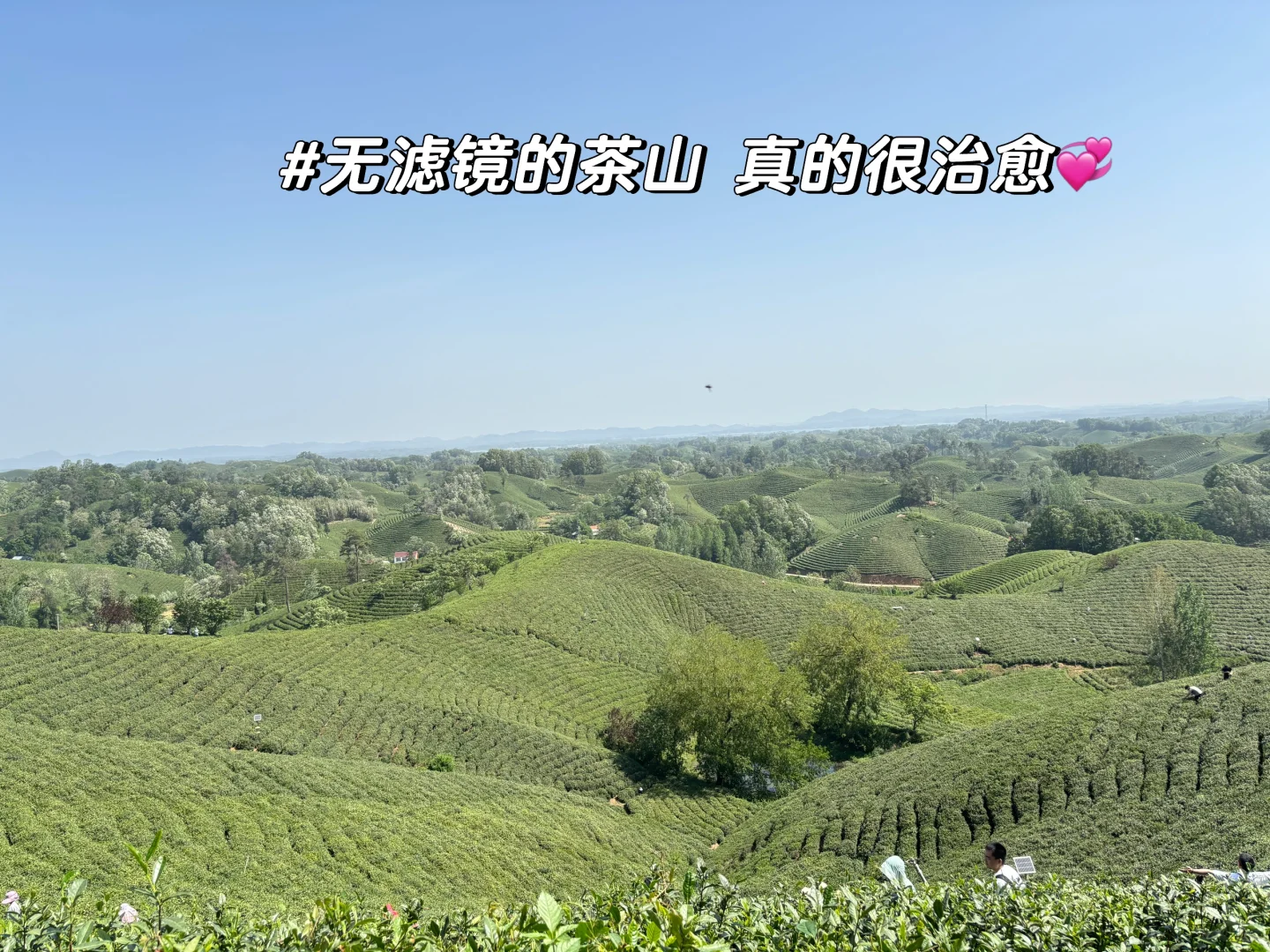 郑州-信阳，三天两夜亲子旅游攻略分享❗️