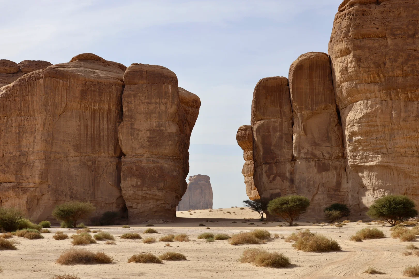 沙特5🇸🇦AlUla景点攻略｜淡季大胆冲