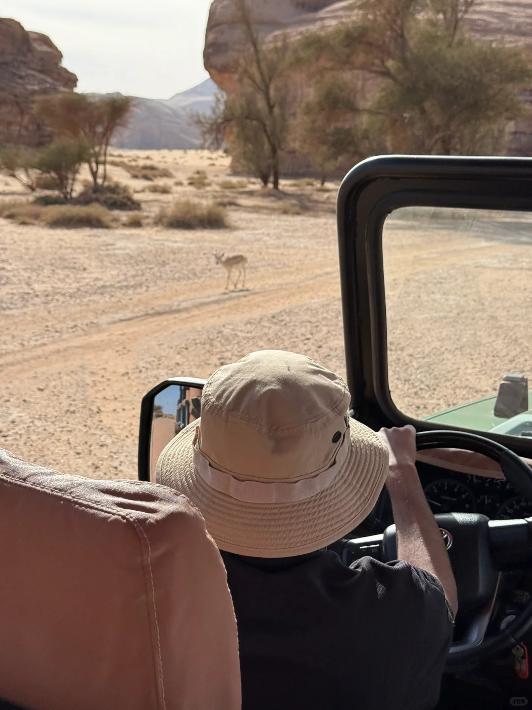 沙特5🇸🇦AlUla景点攻略｜淡季大胆冲