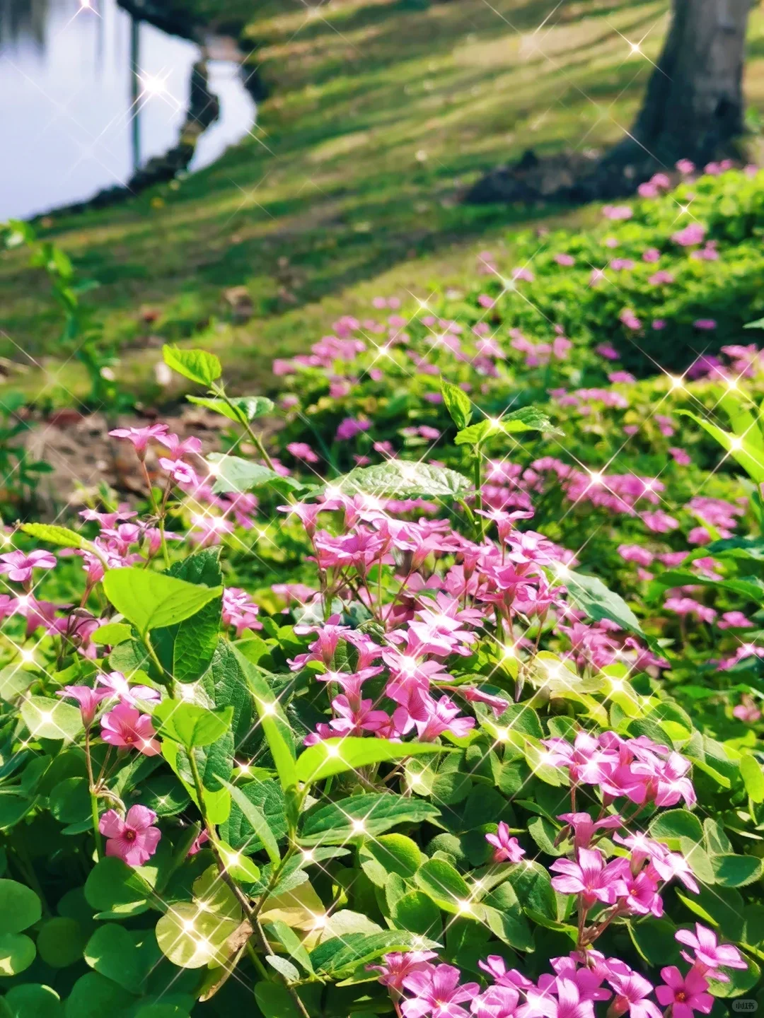 别再去人挤人的热门景点了，这些地方超惊艳