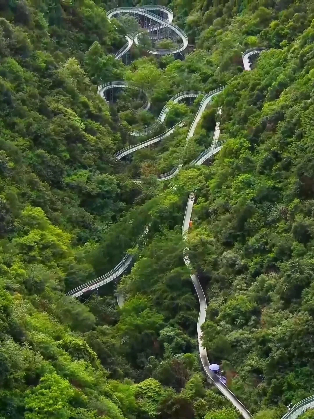 江浙沪我最爱的山野乐园‼️好玩到next level