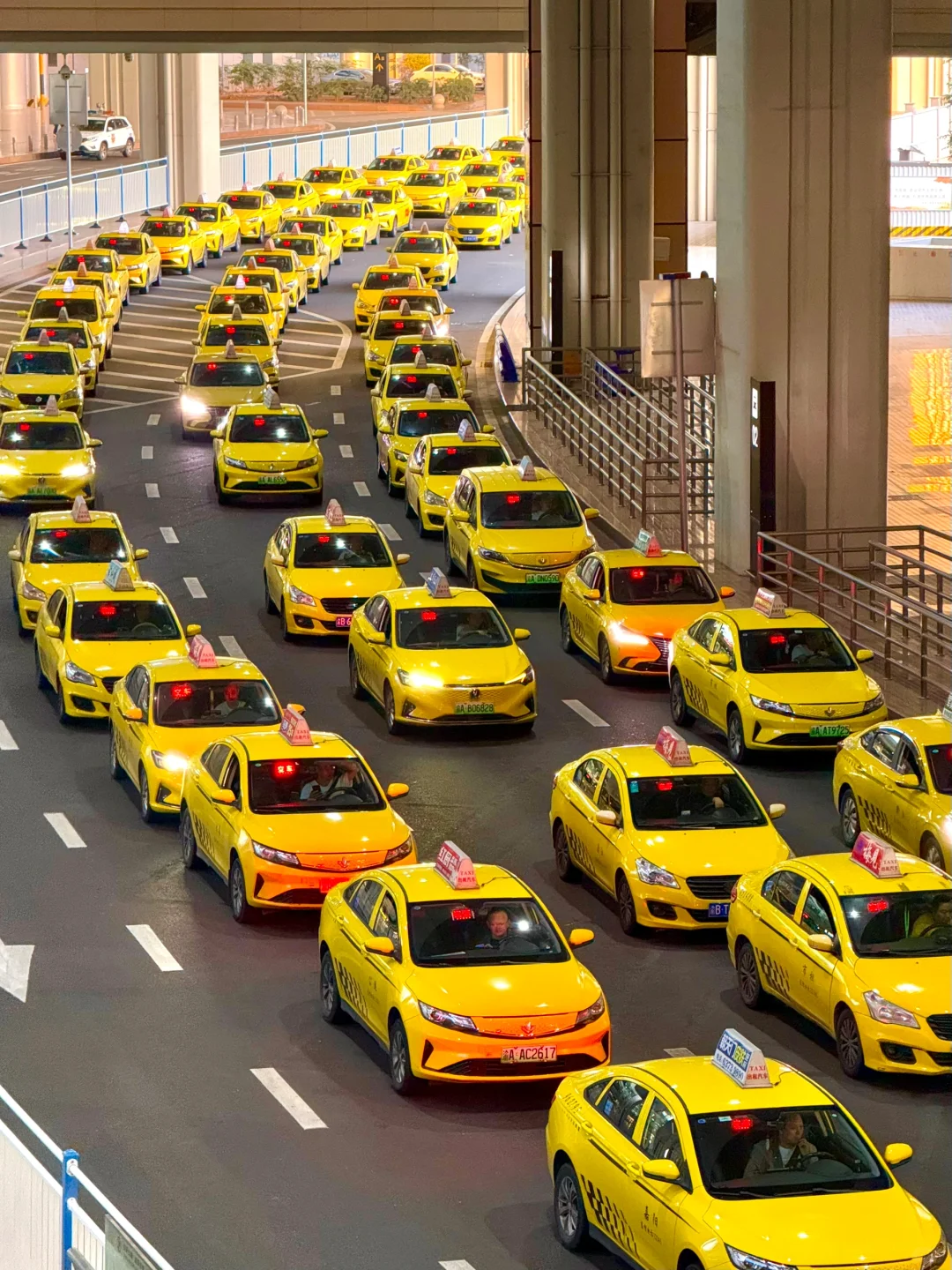 18张live图告诉你，接下来的重庆到底有多美！