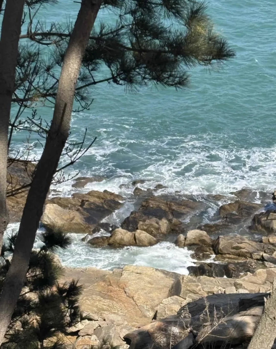 山东威海📍特种兵两天一夜游（图文版攻略）