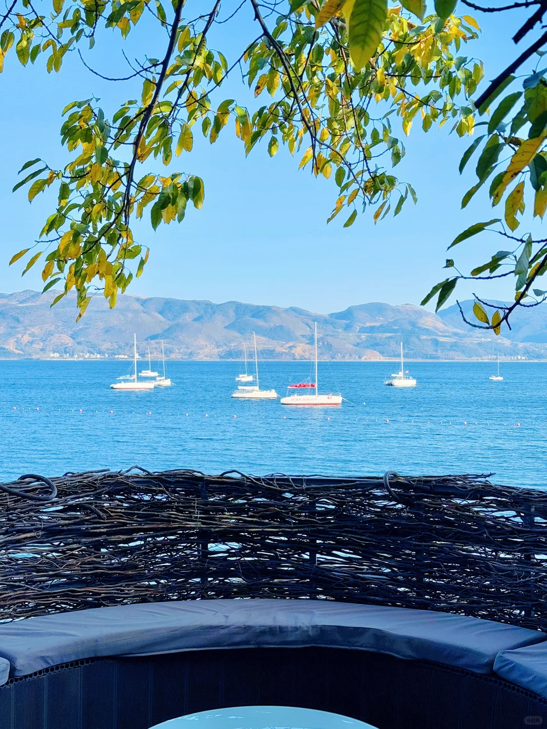 第一次到抚仙湖,看这篇笔记就够啦!