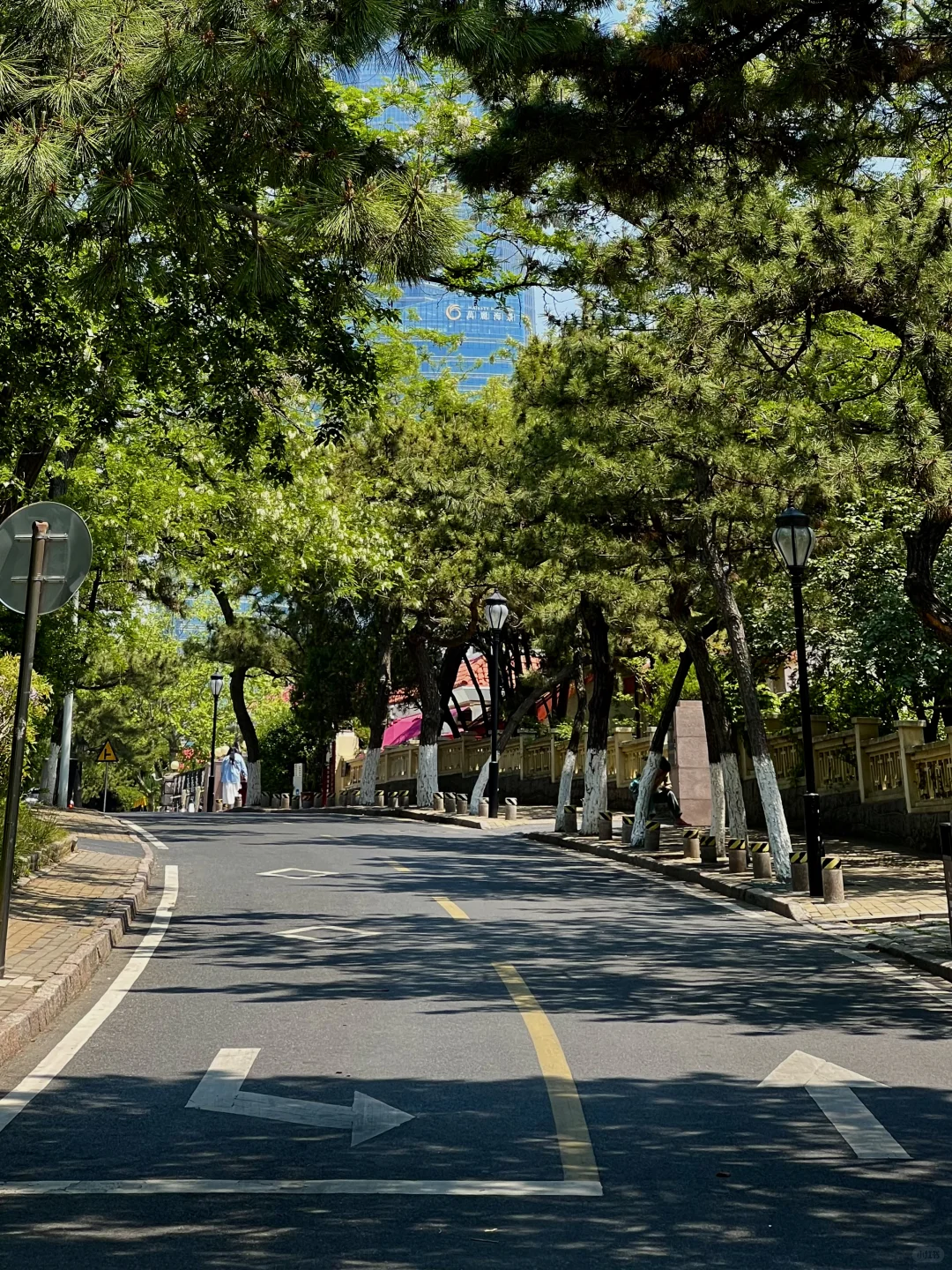 后悔来青岛前没看完这篇！青岛游玩全攻略📝