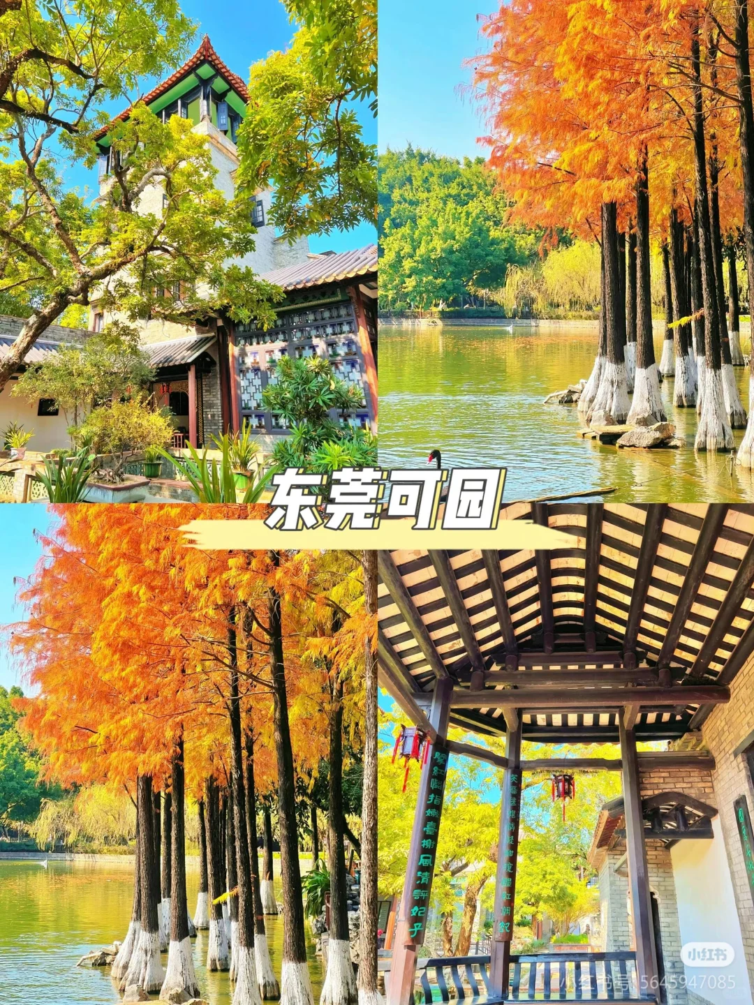 广东旅游～东莞✈️9个打卡景点