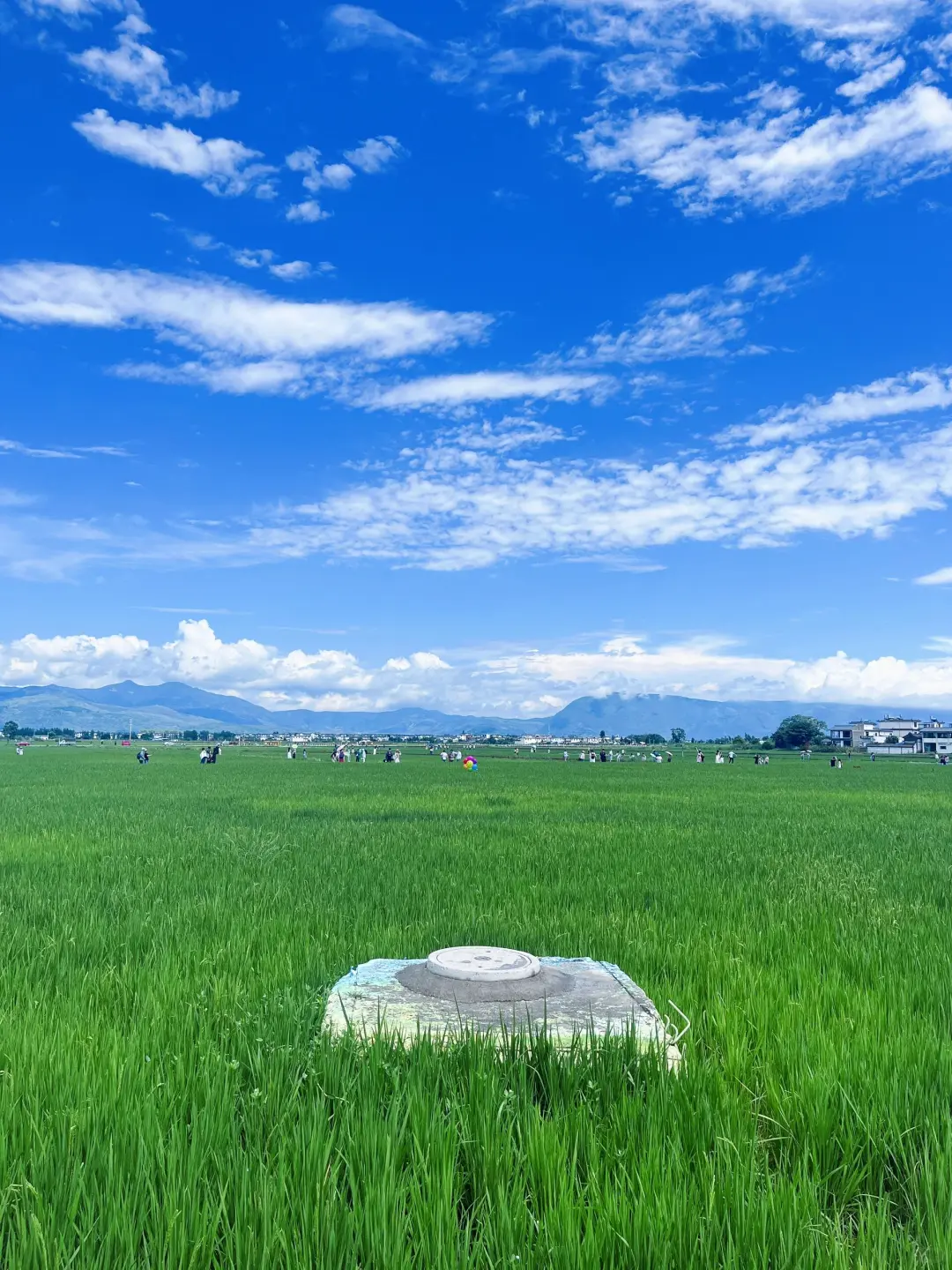 阳光、云朵、洱海，构成大理独有的慢生活节